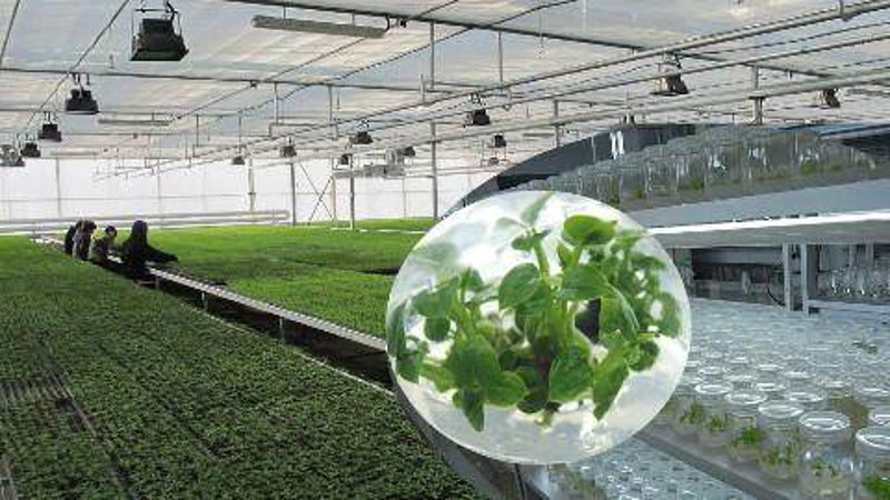 生物技术研发:推动医疗健康行业的革新